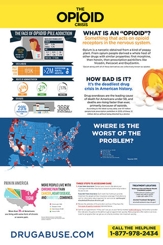 24x36 The Opioid Crisis Treatment Poster