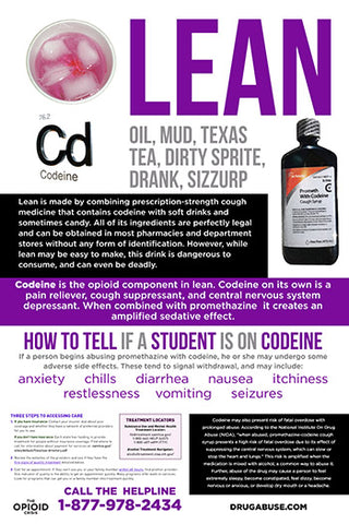 24x36 The Opioid Crisis - Lean Poster